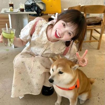我爱莎拉简